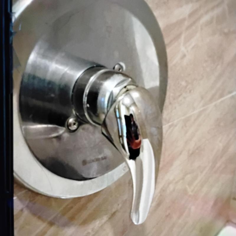 Shower handle reset and slow drain cleared