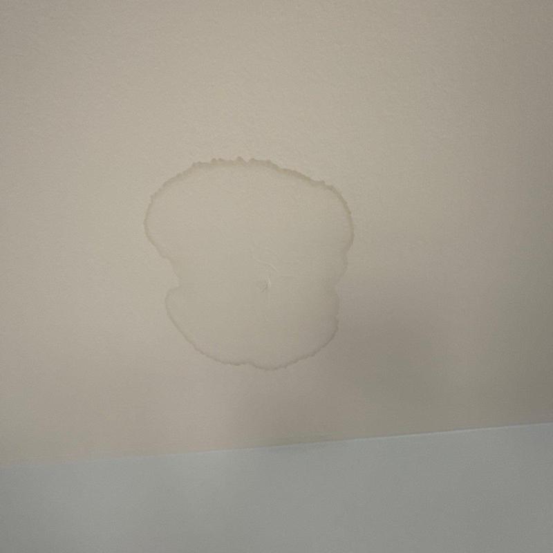 Ceiling drywall water stain and damage mark