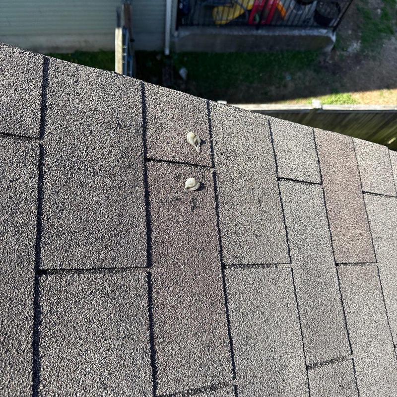 Asphalt shingles with hail damage and raised nails