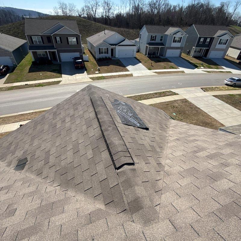 Roof shingles with hail damage and protective cover