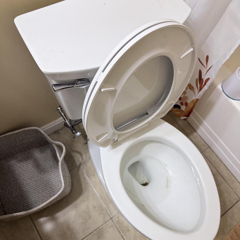 Toilet with open lid and handle in bathroom corner Toilet with open lid and handle in bathroom corner