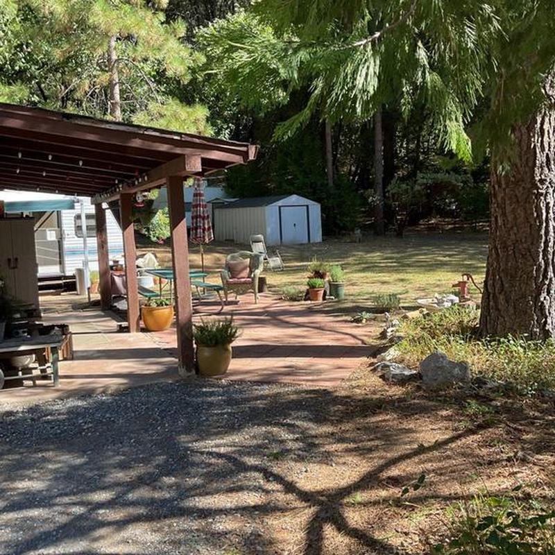 Torch down roof on cabin with patio and yard