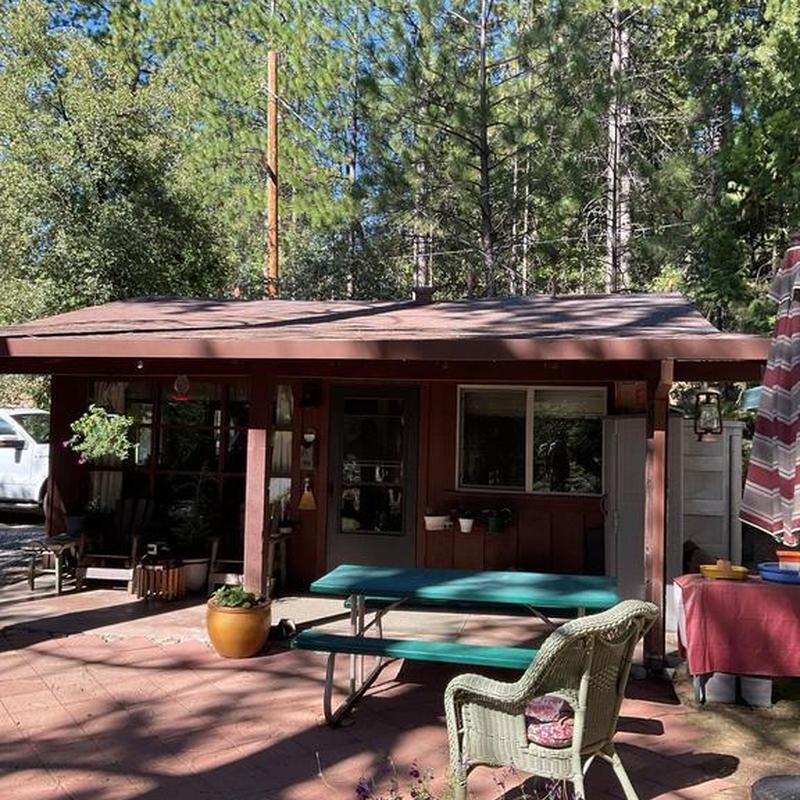 Torch down roof on cabin in wooded area