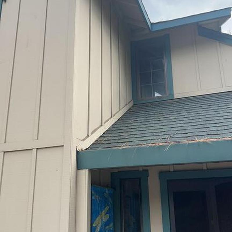 Asphalt shingle roof with new leaf blaster and gutters