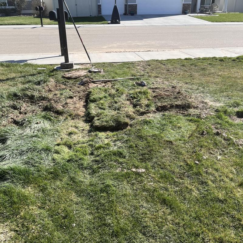 Main water line excavation and inspection in yard