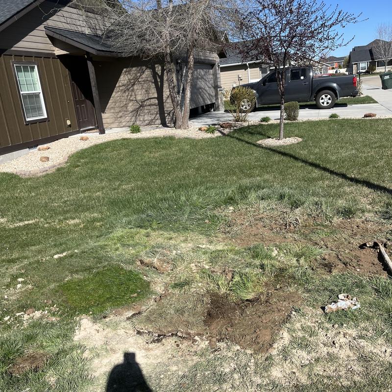 Main water line spot repair with hand-digging in yard