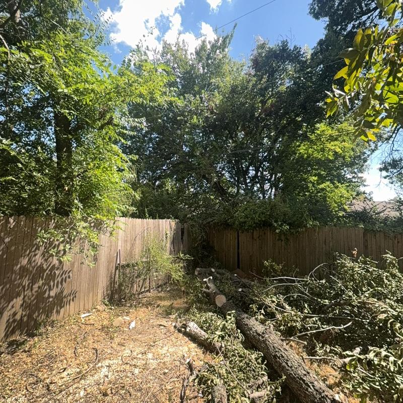 Cable line tree limb removal near wooden fence