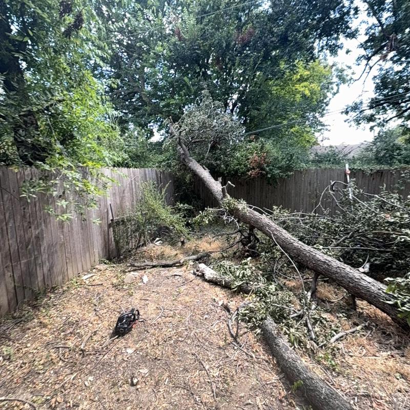 Cable line with fallen tree limb removal in backyard
