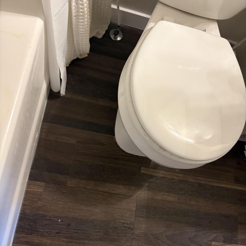 Toilet and main sewer line clog cleared with snake Toilet and main sewer line clog cleared with snake