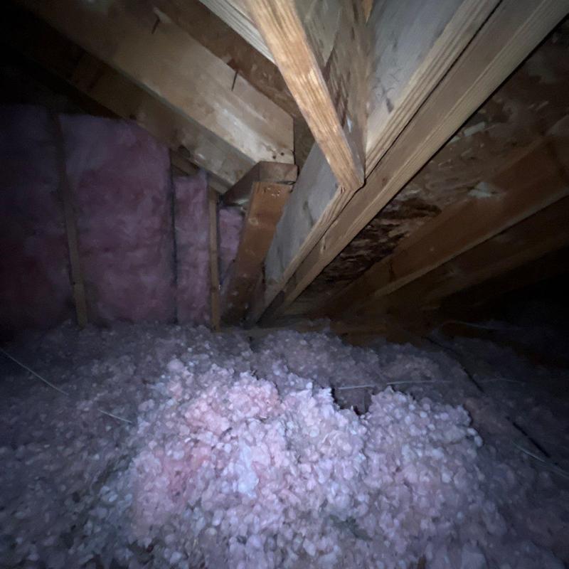 Roof framing and insulation with water damage signs