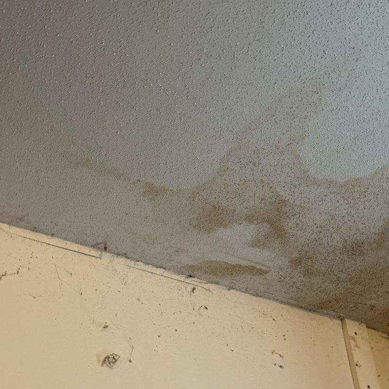 Ceiling mold and water damage near wall corner