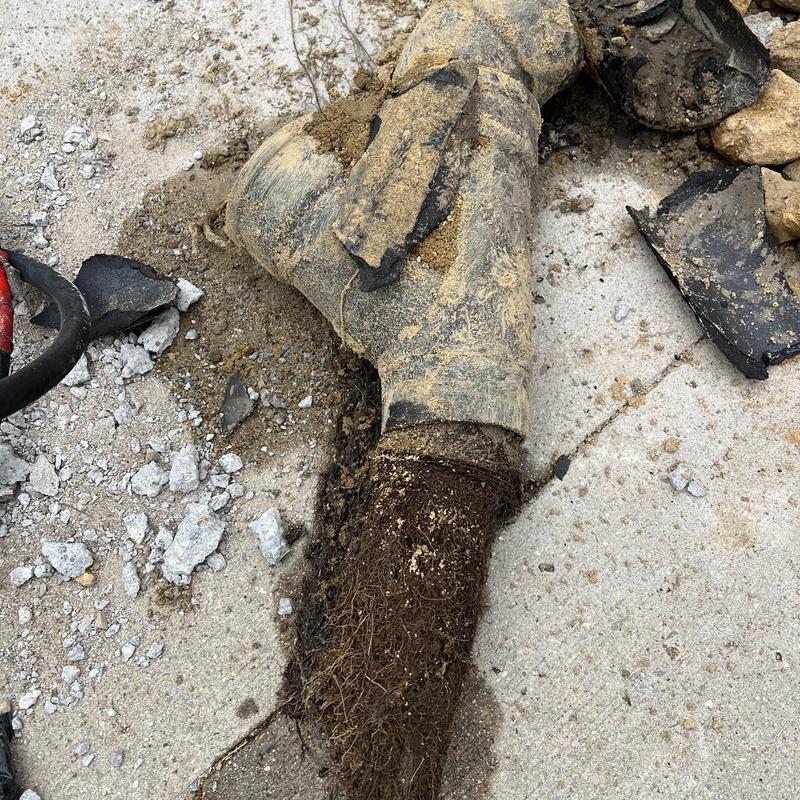 Sewer lateral pipe with severe root intrusion on concrete surface
