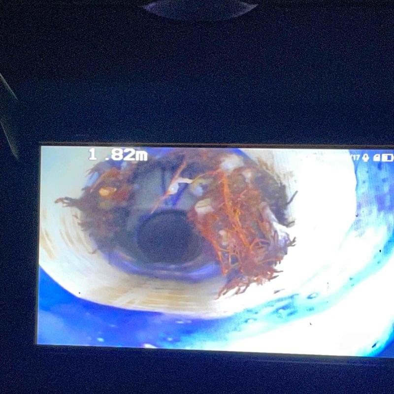 Sewer pipe camera inspection showing root intrusion blockage