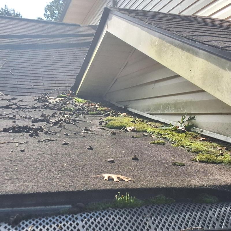 Asphalt shingle roof with moss and debris buildup near gutter