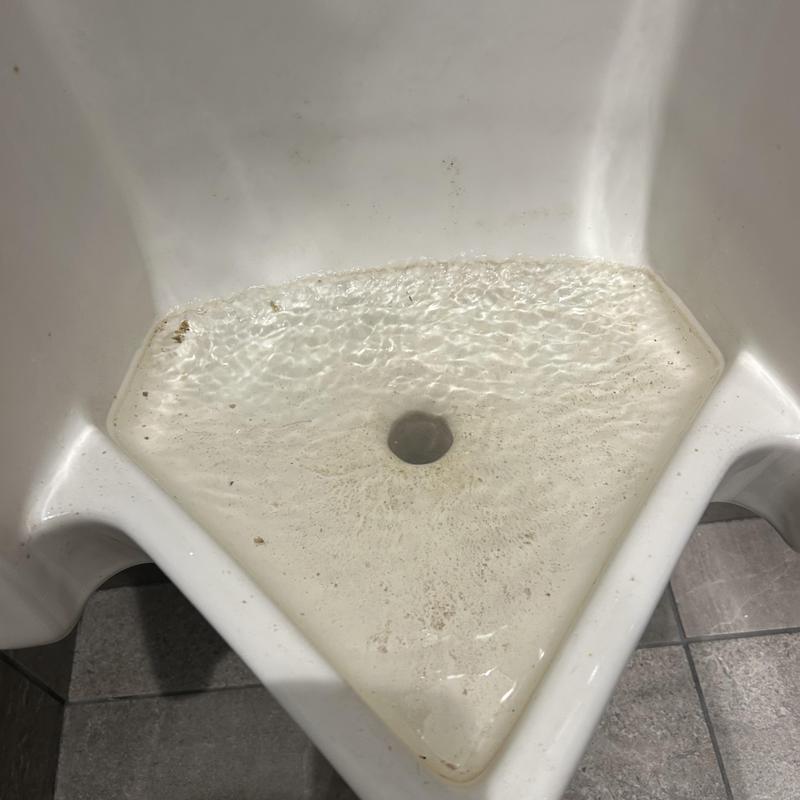 Urinal drain clearing with standing water buildup Urinal drain clearing with standing water buildup