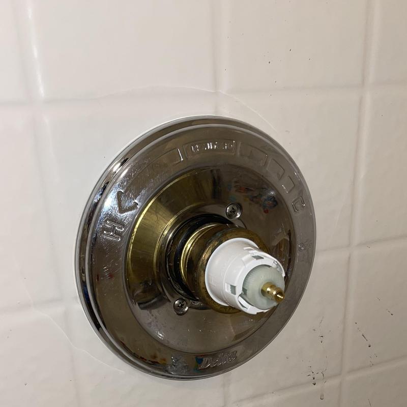 Delta shower cartridge installed in valve system