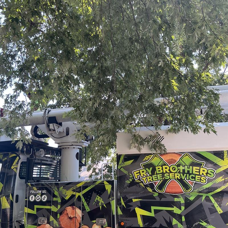 Bucket truck with tree limbs over house