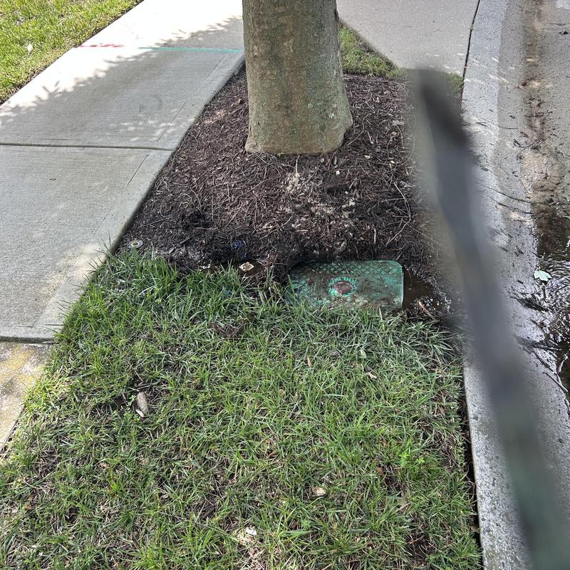 Water main valve box near tree and curbside sidewalk