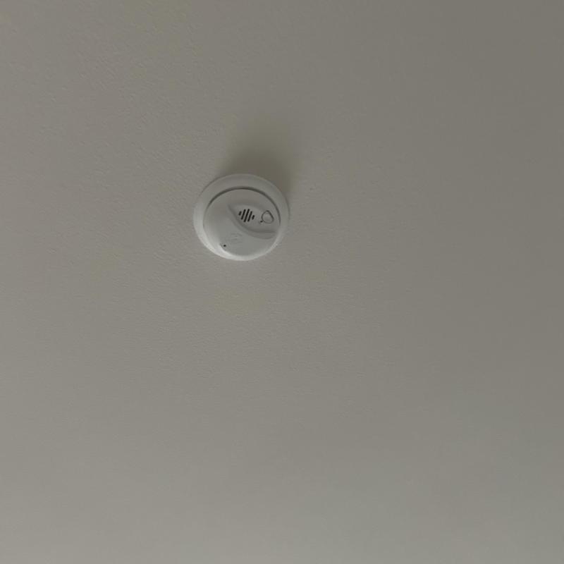 Smoke detector mounted on ceiling in Boise, ID home Smoke detector mounted on ceiling in Boise, ID home