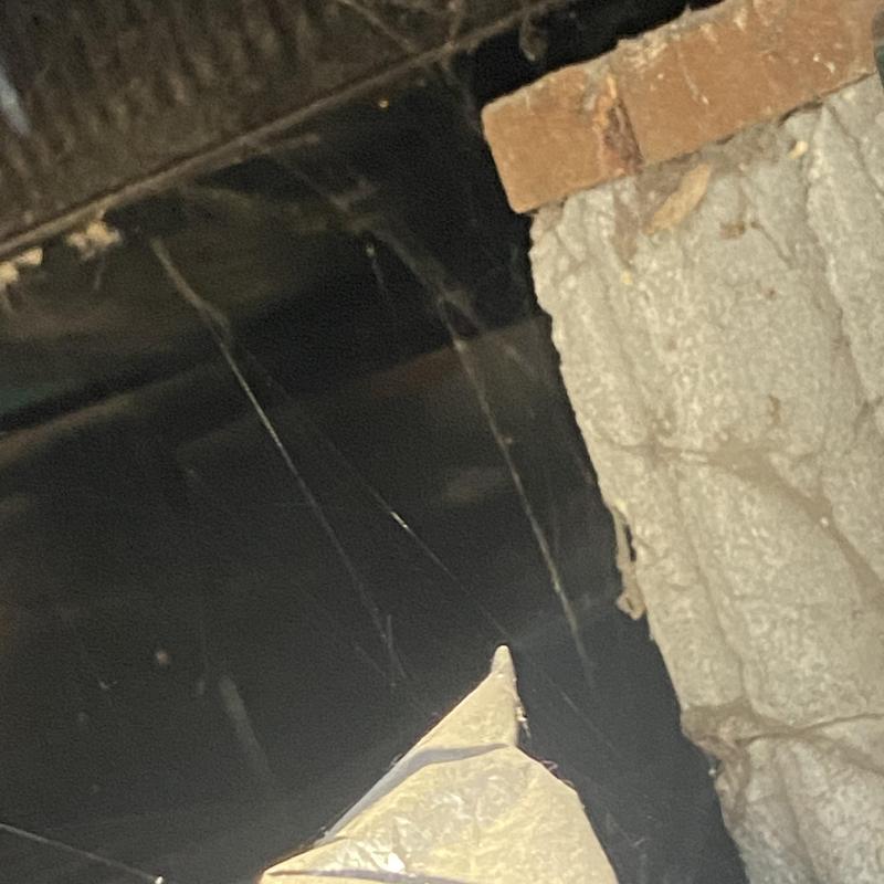 Polybutylene waterline leak under house near water heater
