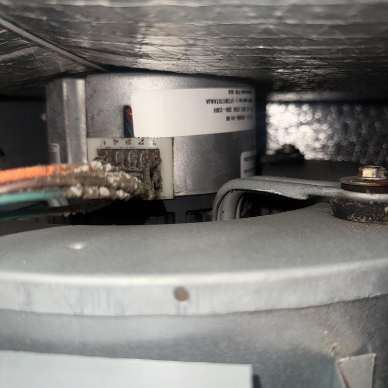 Evaporator fan motor with wiring connections