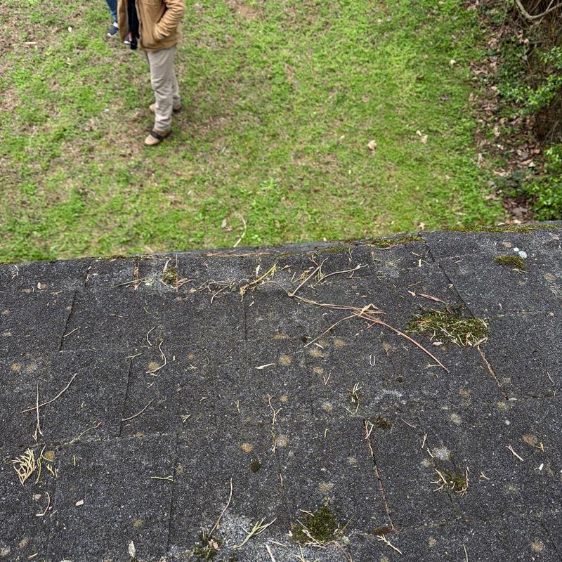 Asphalt shingle roof with hail damage and debris