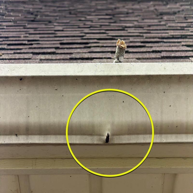 Gutter with puncture hole circled in yellow