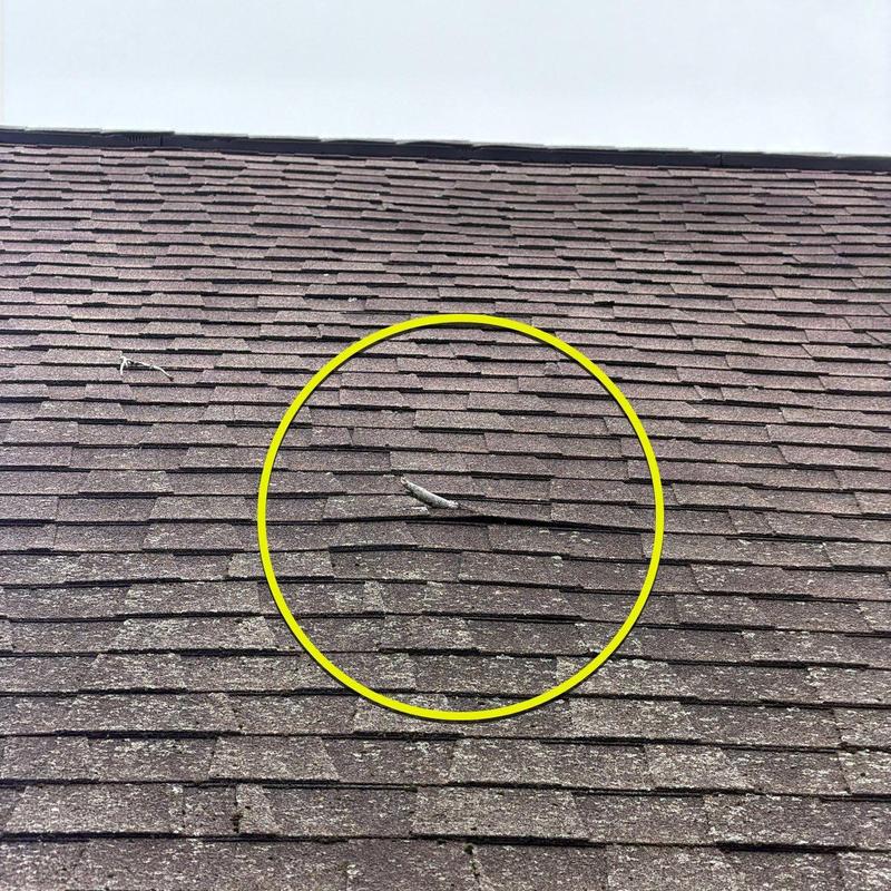 Asphalt roof shingles with hail damage marked