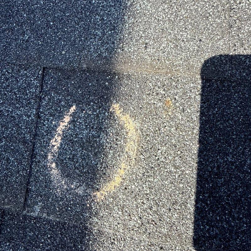 Asphalt shingle roofing with hail damage circled in chalk
