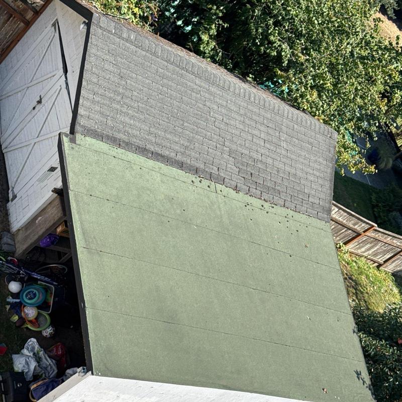 Flat roof membrane and shingle roof inspection in backyard