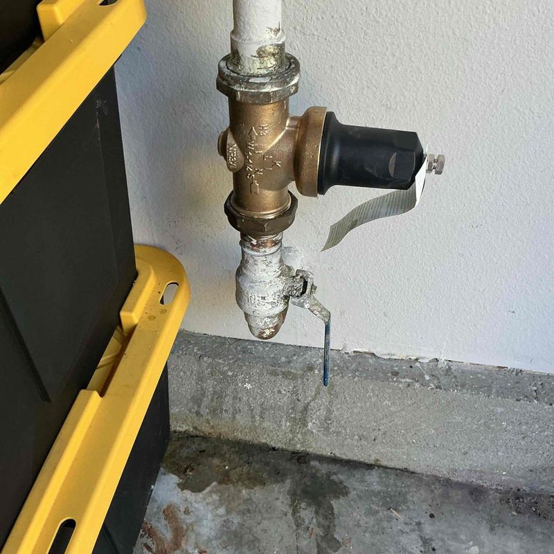 Pressure regulator valve with drain valve attached