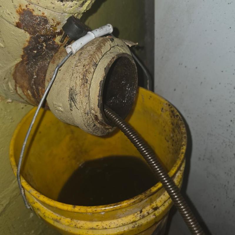 Main sewer line inspection with drain auger tool
