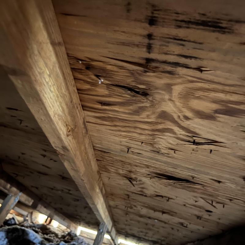 Roof decking with water damage and mold stains