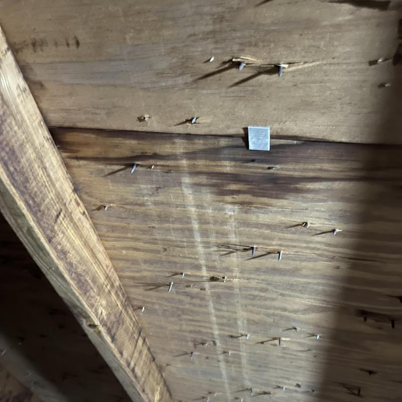 Plywood sheathing with exposed nails in roof structure