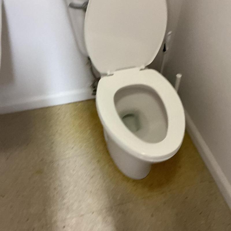Toilet bowl with open lid in bathroom Toilet bowl with open lid in bathroom