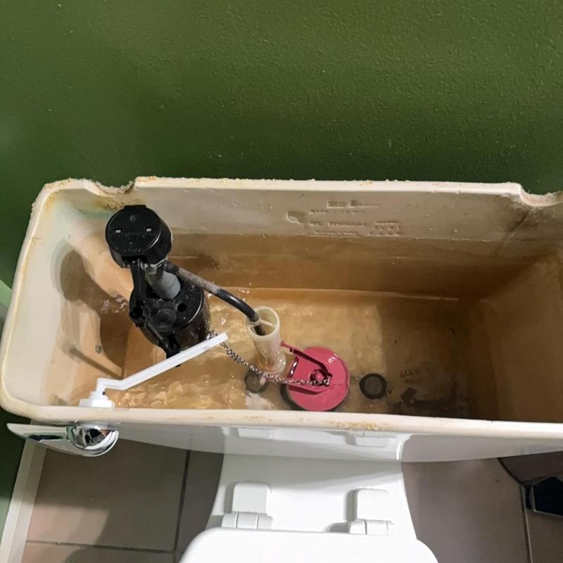 Toilet tank interior with handle and flapper parts
