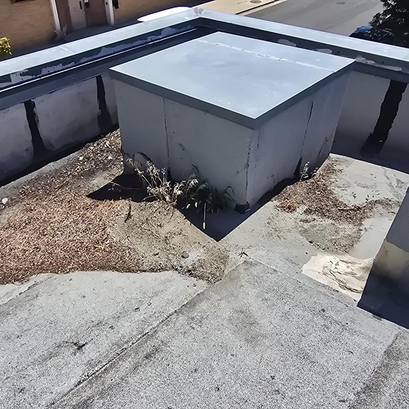 Modified bitumen roof with debris and plant growth