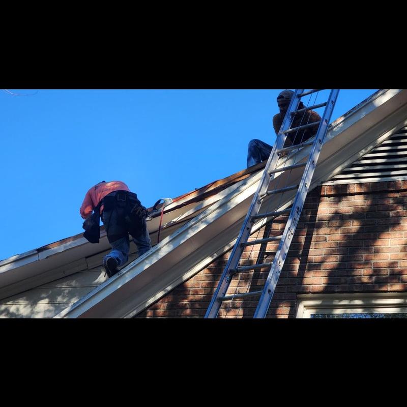 Roof edge wood replacement with ladder access Roof edge wood replacement with ladder access