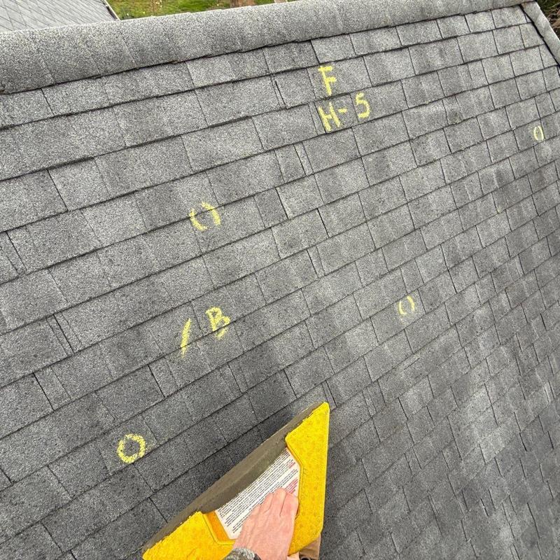 Asphalt shingle roof with hail damage markings