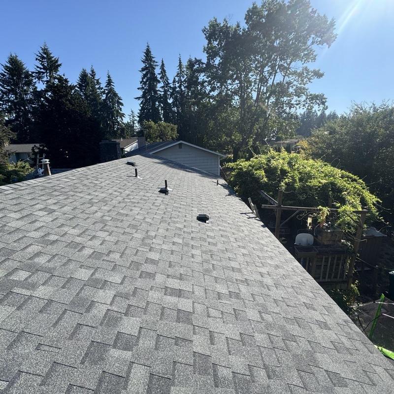 Asphalt shingle roof with vents in residential backyard