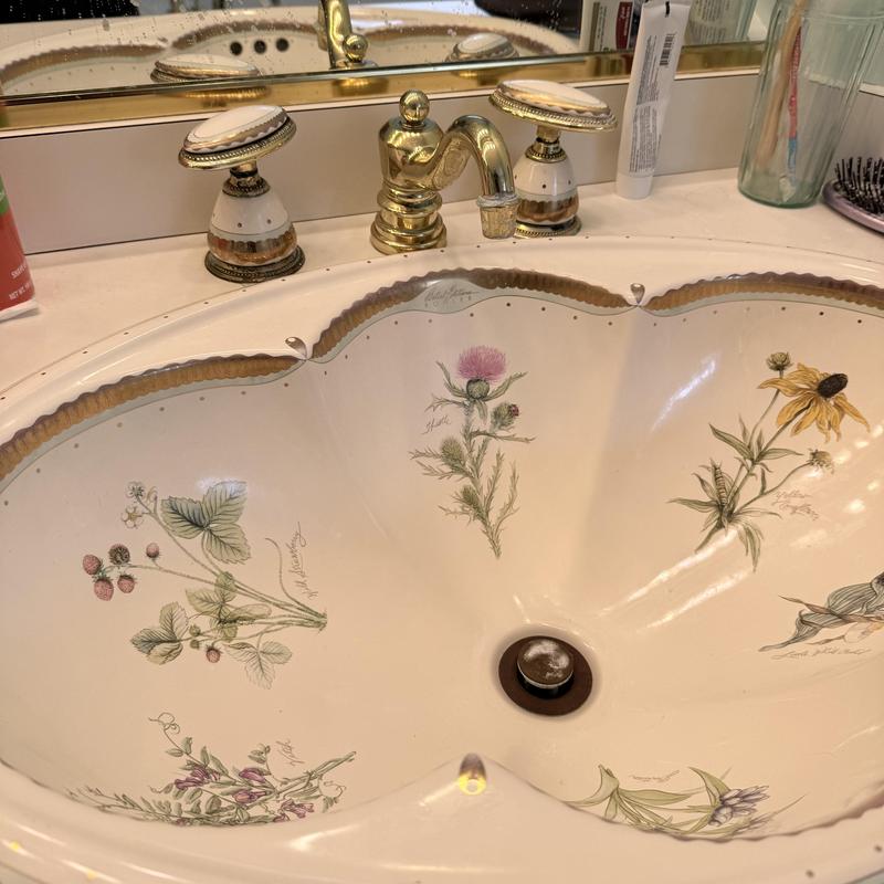 Bathroom sink with floral design and gold faucet Bathroom sink with floral design and gold faucet