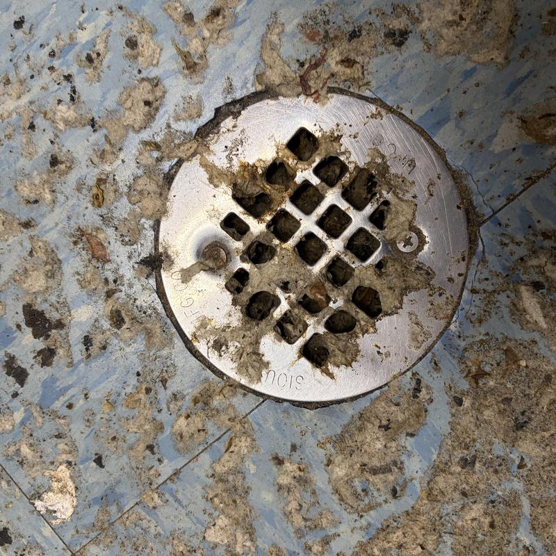 Floor drain with buildup and grime in basement Floor drain with buildup and grime in basement