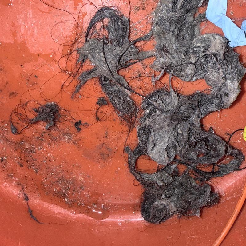 Tub drain hair clog debris removed on orange bucket Tub drain hair clog debris removed on orange bucket