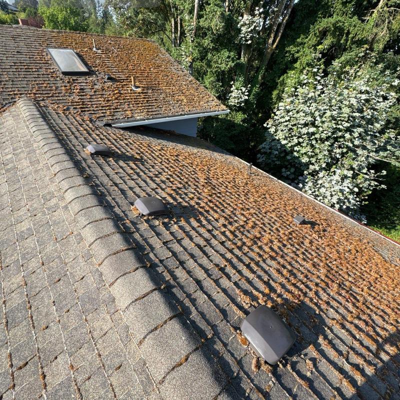 Asphalt shingle roof with moss and debris buildup