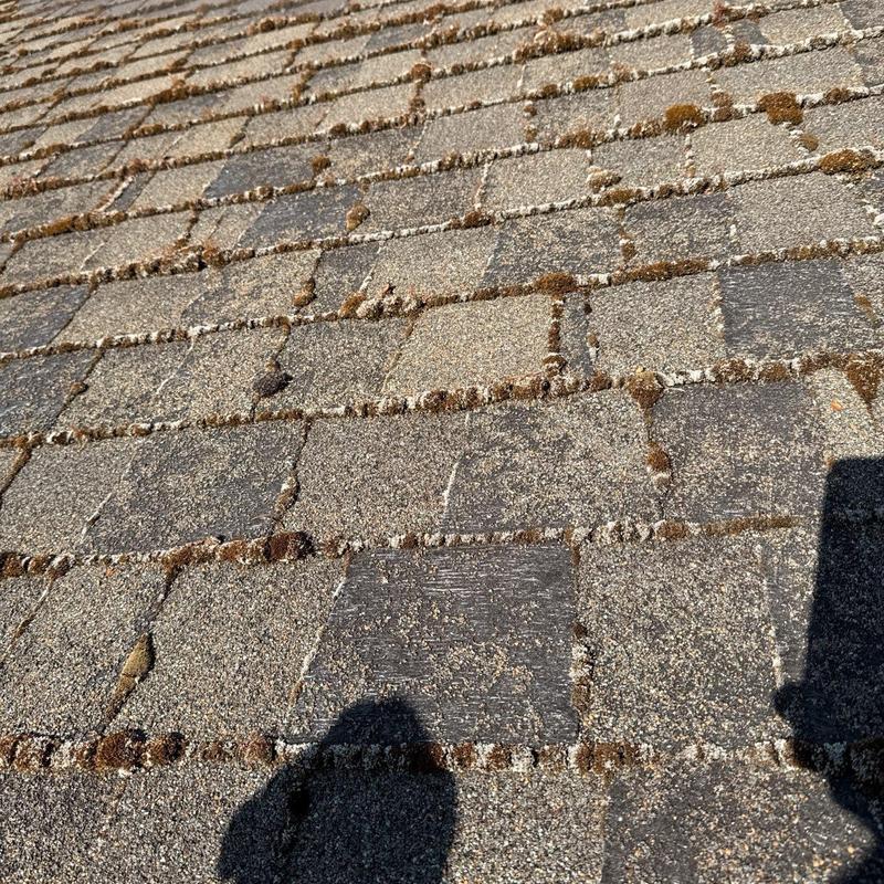 Asphalt shingle roof with moss growth and wear