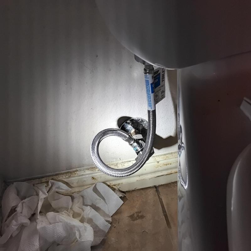 Braided hose and shut off valve on toilet supply line