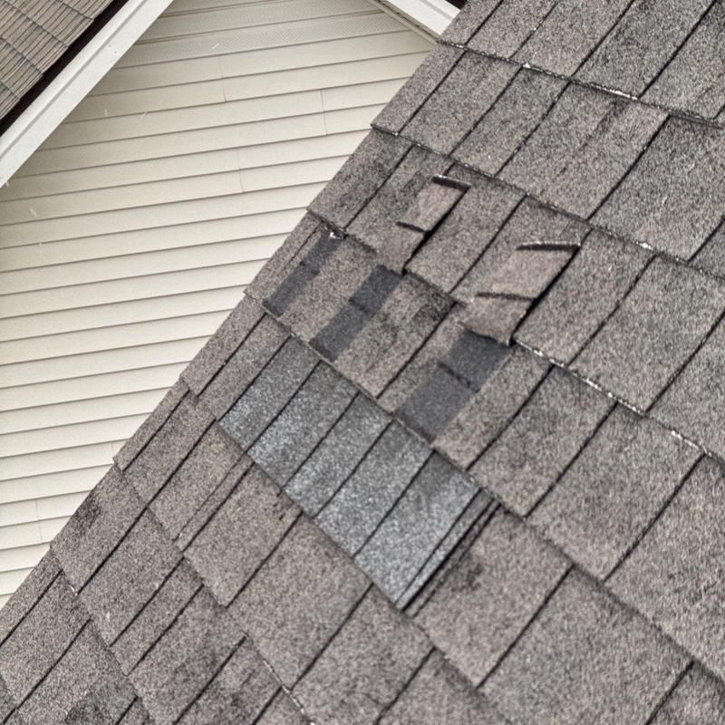 Roof shingles with hail damage and granule loss