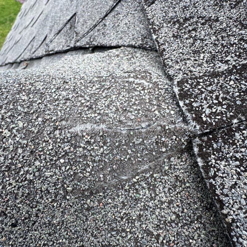 Asphalt shingles with hail damage and granule loss