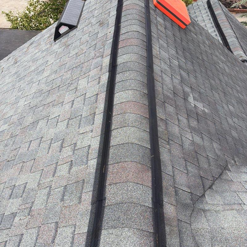 Asphalt shingle roof with ridge vent and mesh guards
