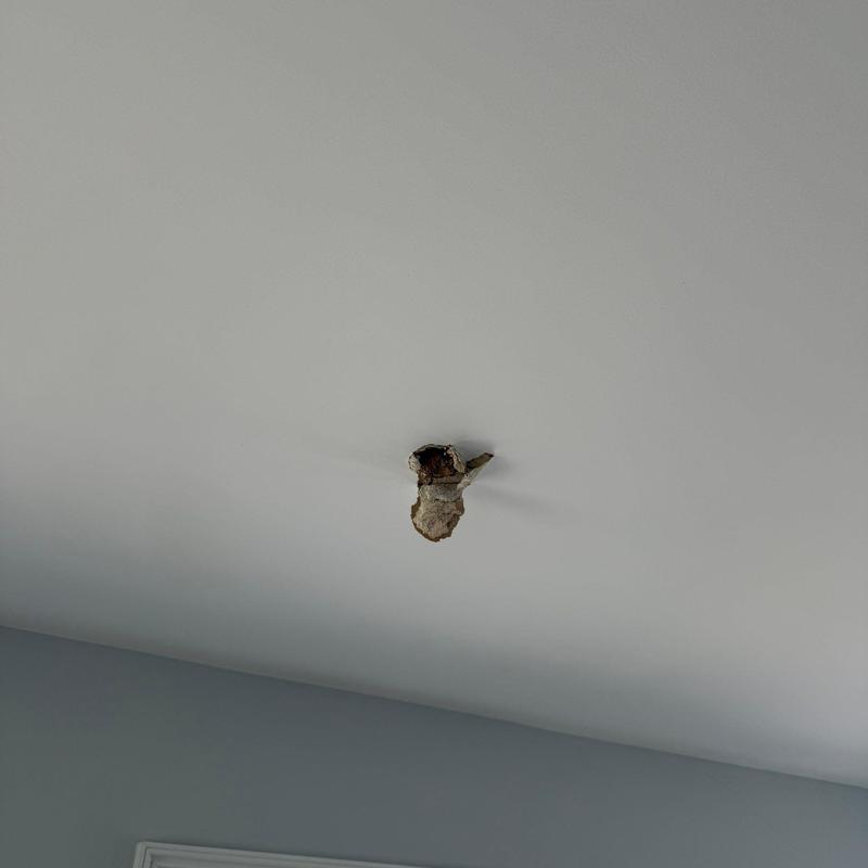Drywall ceiling hole with rusted pipe exposure